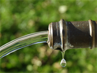 Ortswasserleitung - Wasserbefunde